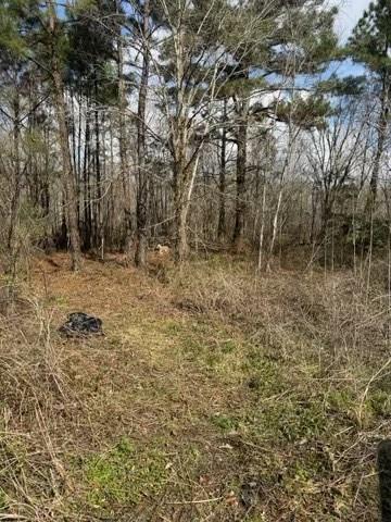 1400 County Road 4212, Orange, Texas image 6