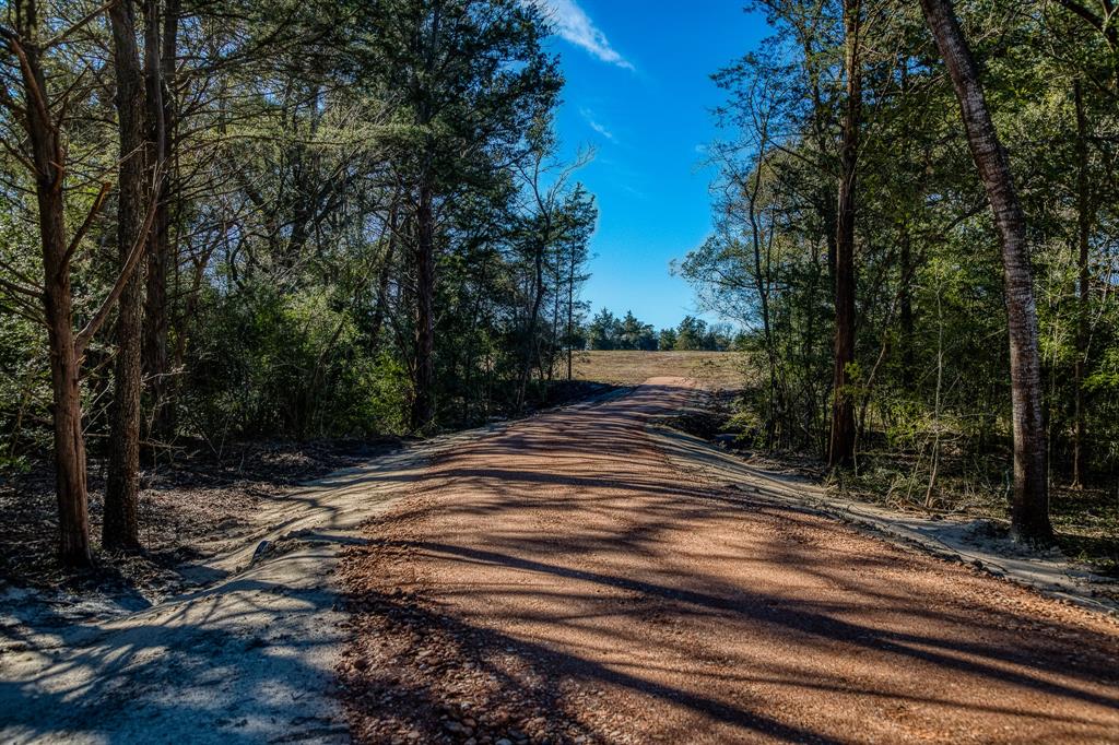 Tract 1 Brandt Rd, Burton, Texas image 3