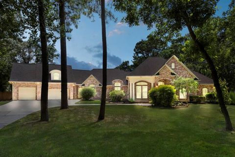 28607 Benderwood Court Spring TX 77386