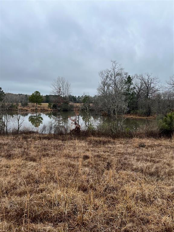 1272 Cr 4600, Broaddus, Texas image 15