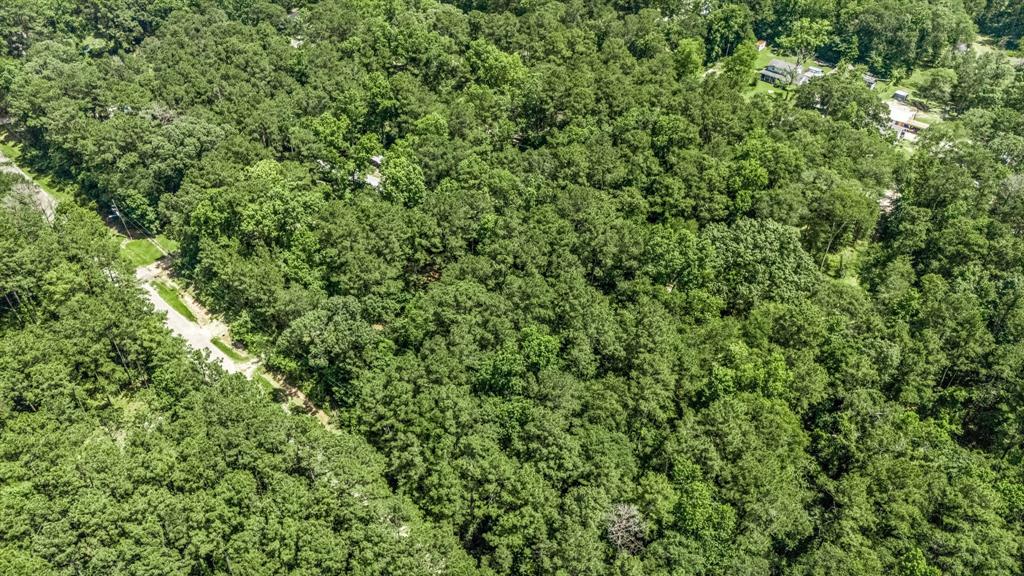 377 Wild Oak Drive, Huffman, Texas image 12