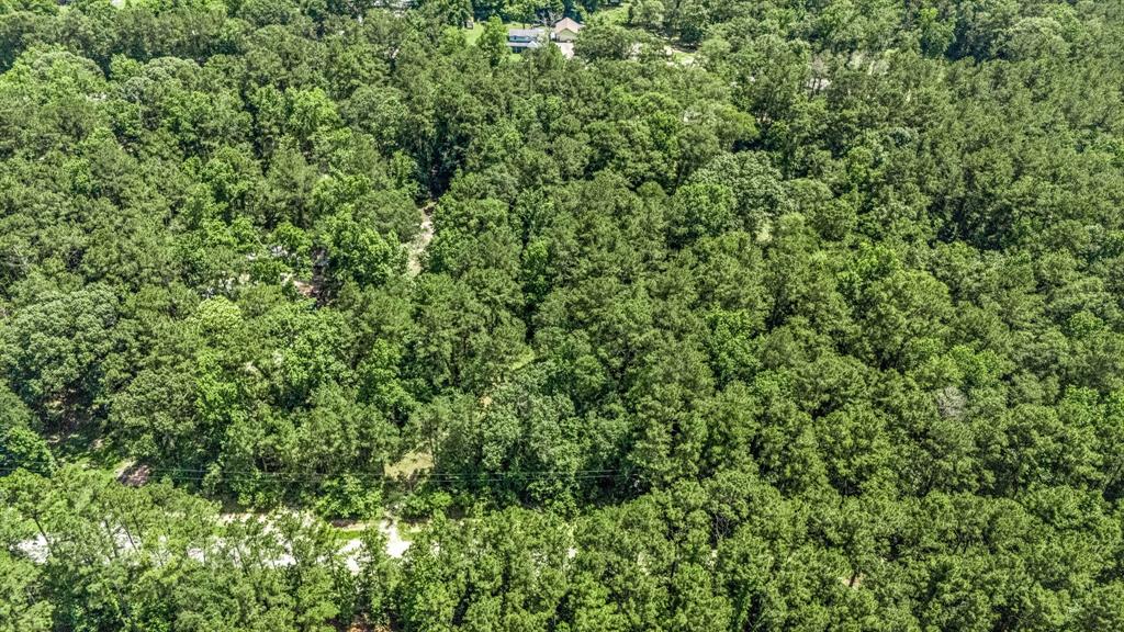 377 Wild Oak Drive, Huffman, Texas image 15