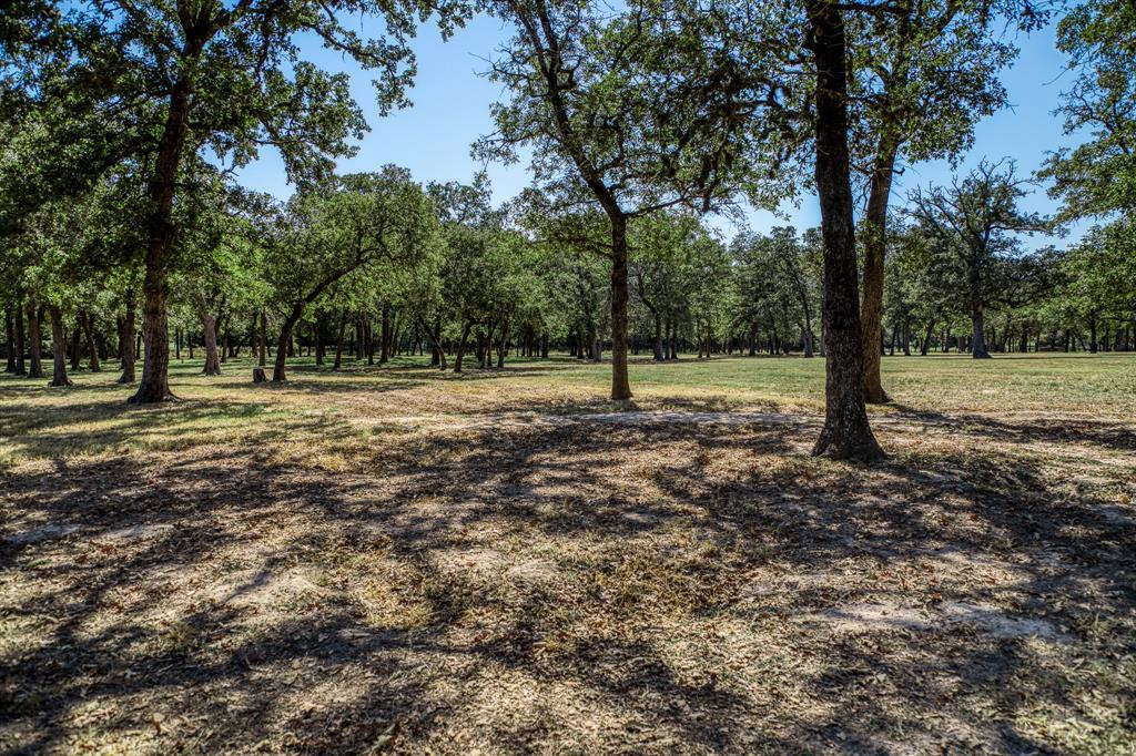 1075 Private Road 4361, Dime Box, Texas image 5