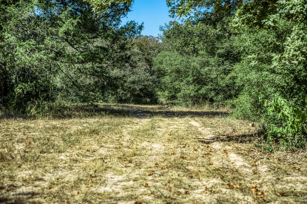 1075 Private Road 4361, Dime Box, Texas image 38