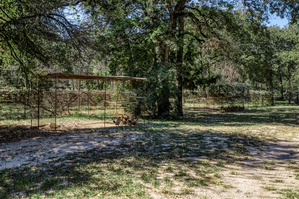 1075 Private Road 4361, Dime Box, Texas image 18