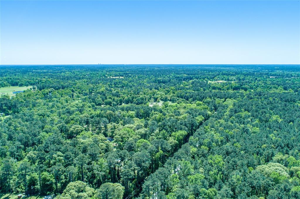 965 S Pine Lake Rd Rd, Montgomery, Texas image 5