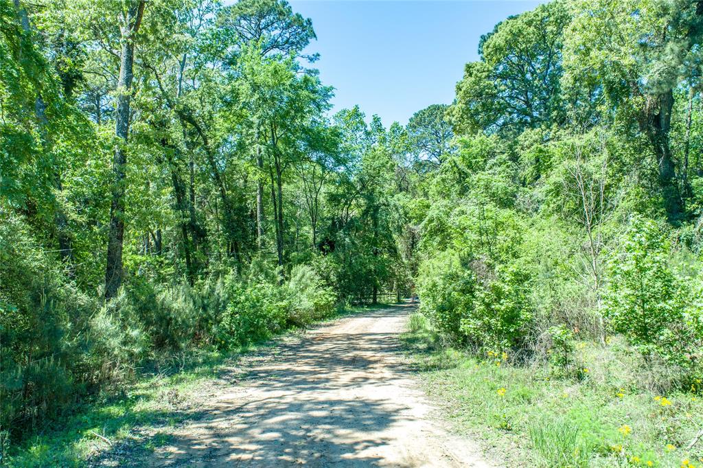 965 S Pine Lake Rd Rd, Montgomery, Texas image 3
