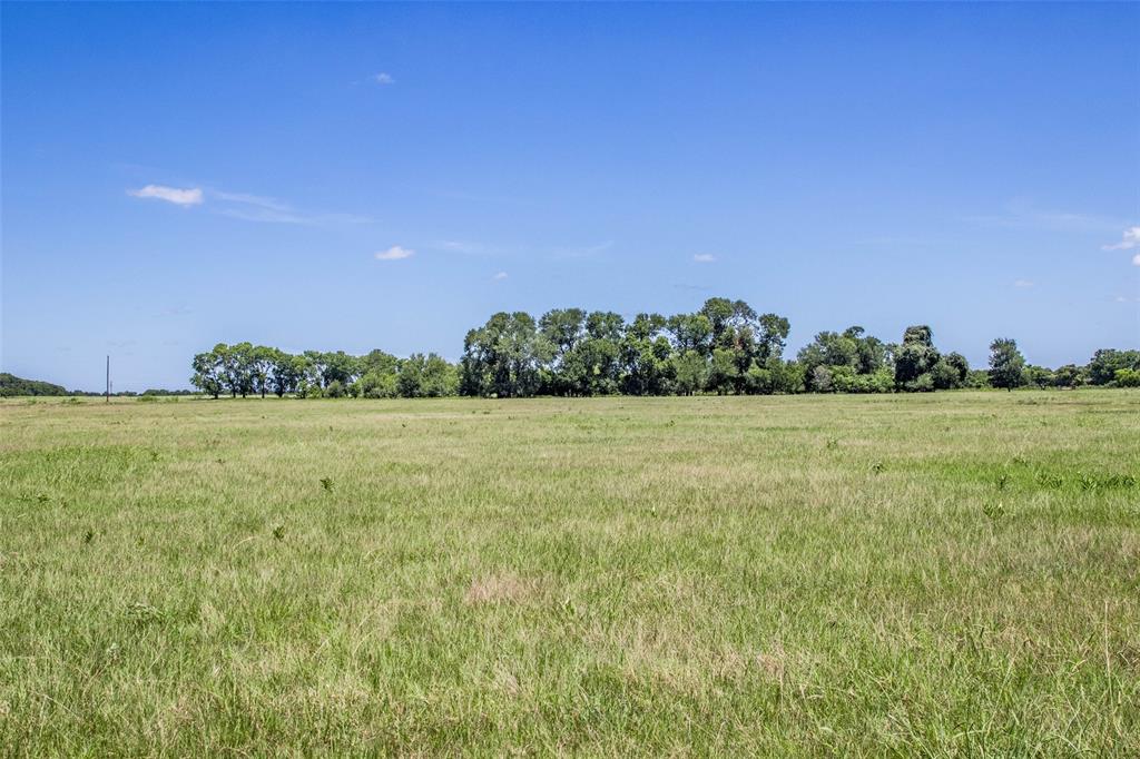 11752 County Road 318, Caldwell, Texas image 15