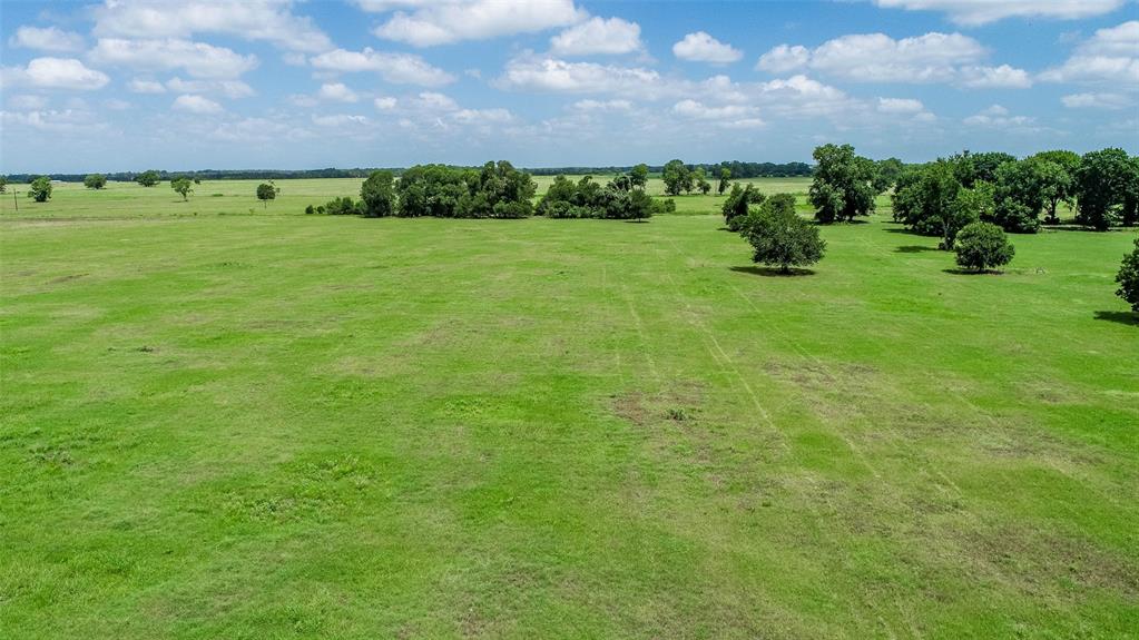 11752 County Road 318, Caldwell, Texas image 11