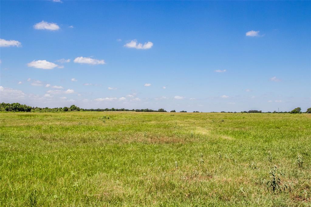 11752 County Road 318, Caldwell, Texas image 18