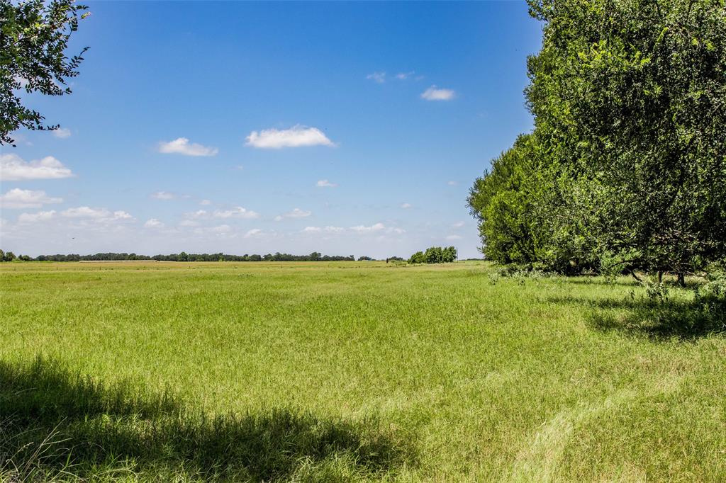 11752 County Road 318, Caldwell, Texas image 3