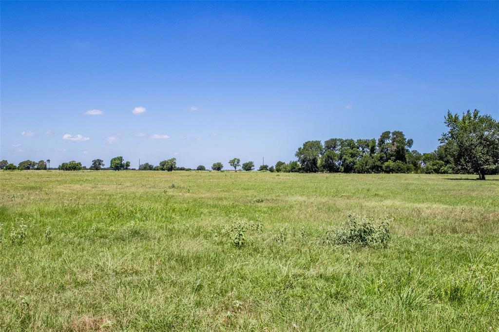 11752 County Road 318, Caldwell, Texas image 17