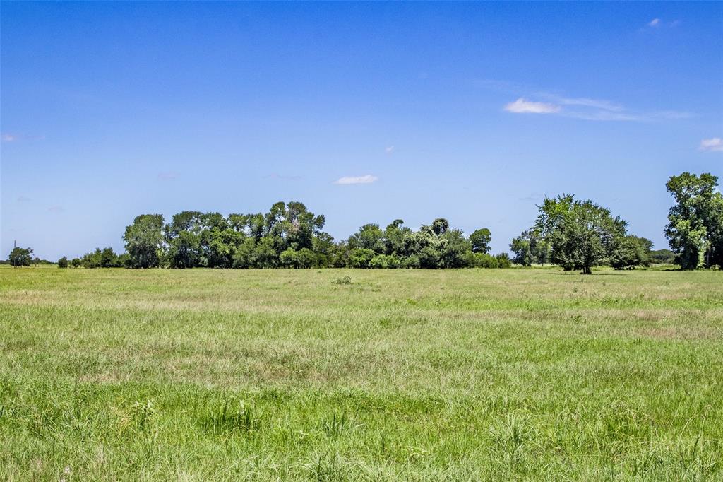 11752 County Road 318, Caldwell, Texas image 16