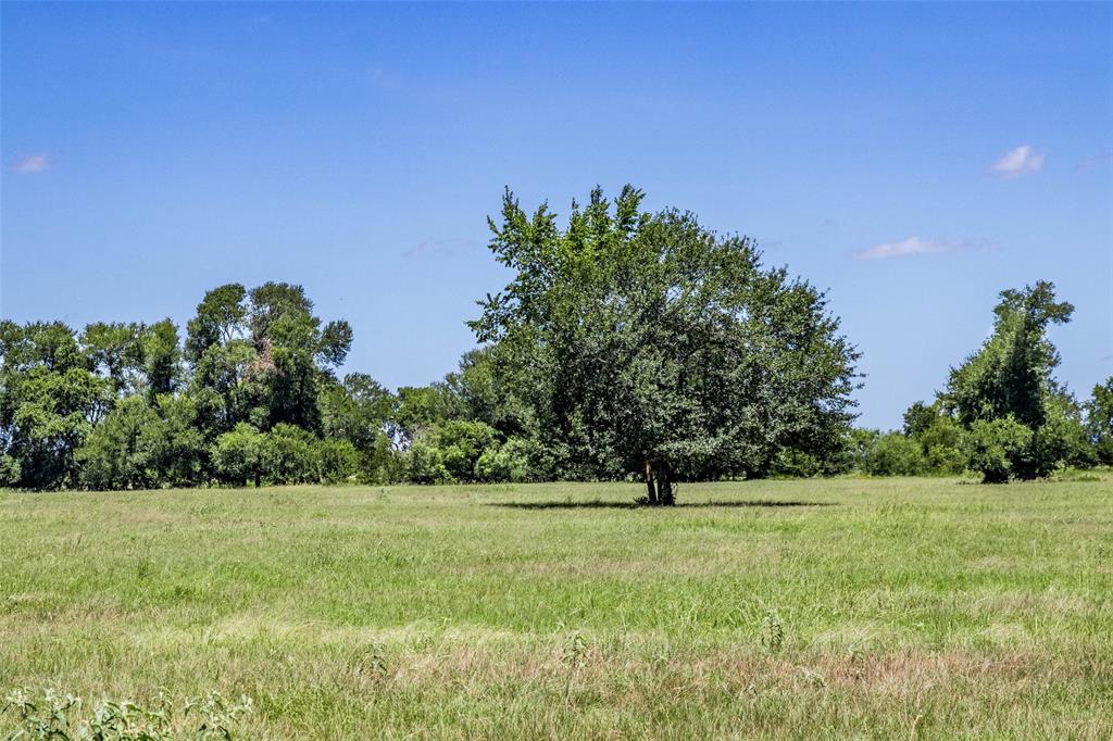 11752 County Road 318, Caldwell, Texas image 6