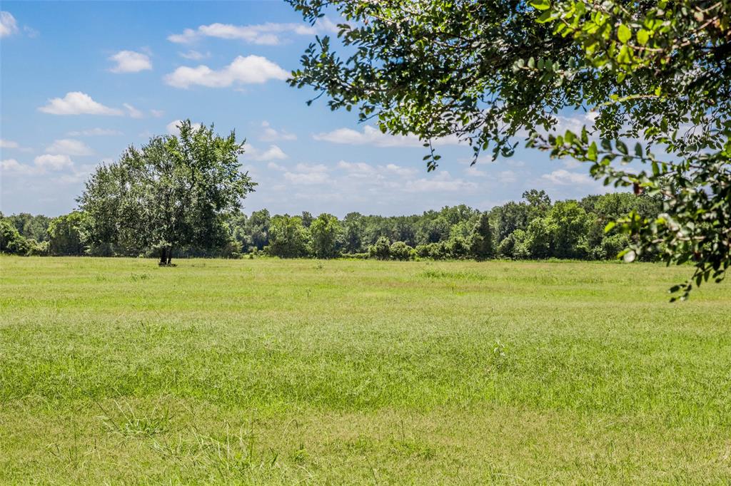 11752 County Road 318, Caldwell, Texas image 4