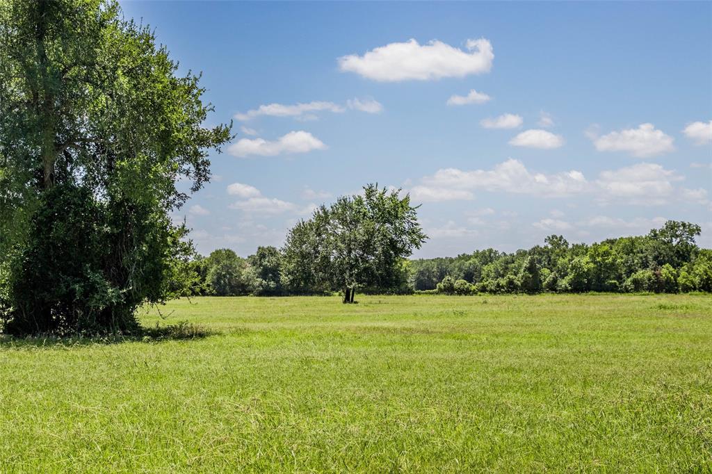 11752 County Road 318, Caldwell, Texas image 21