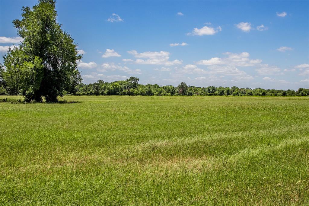 11752 County Road 318, Caldwell, Texas image 14