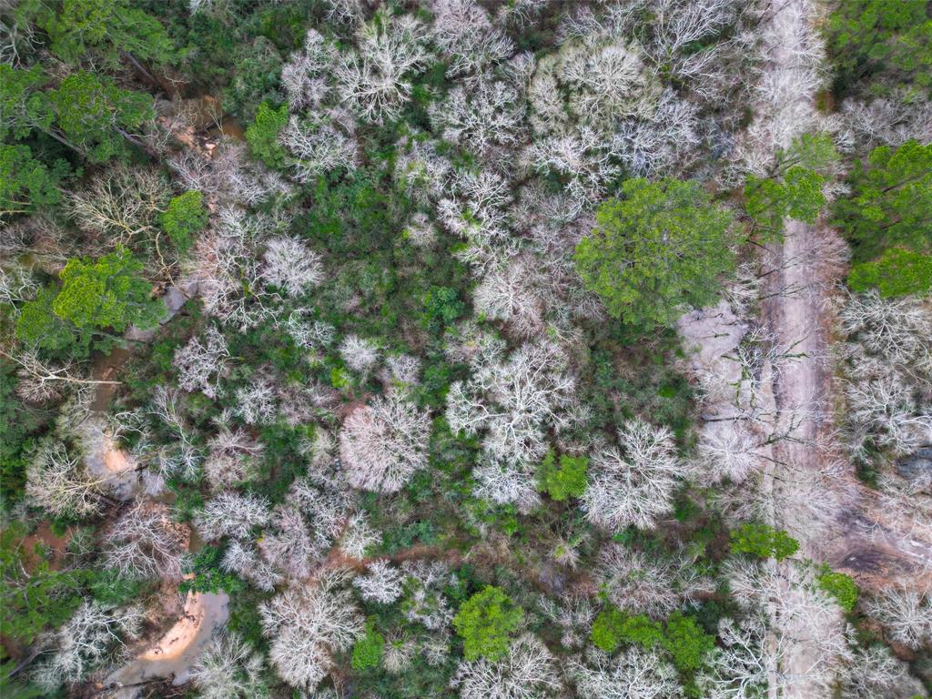 25415 N Clear Creek Road, Hockley, Texas image 2