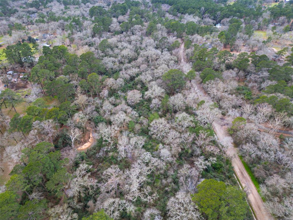 25415 N Clear Creek Road, Hockley, Texas image 7