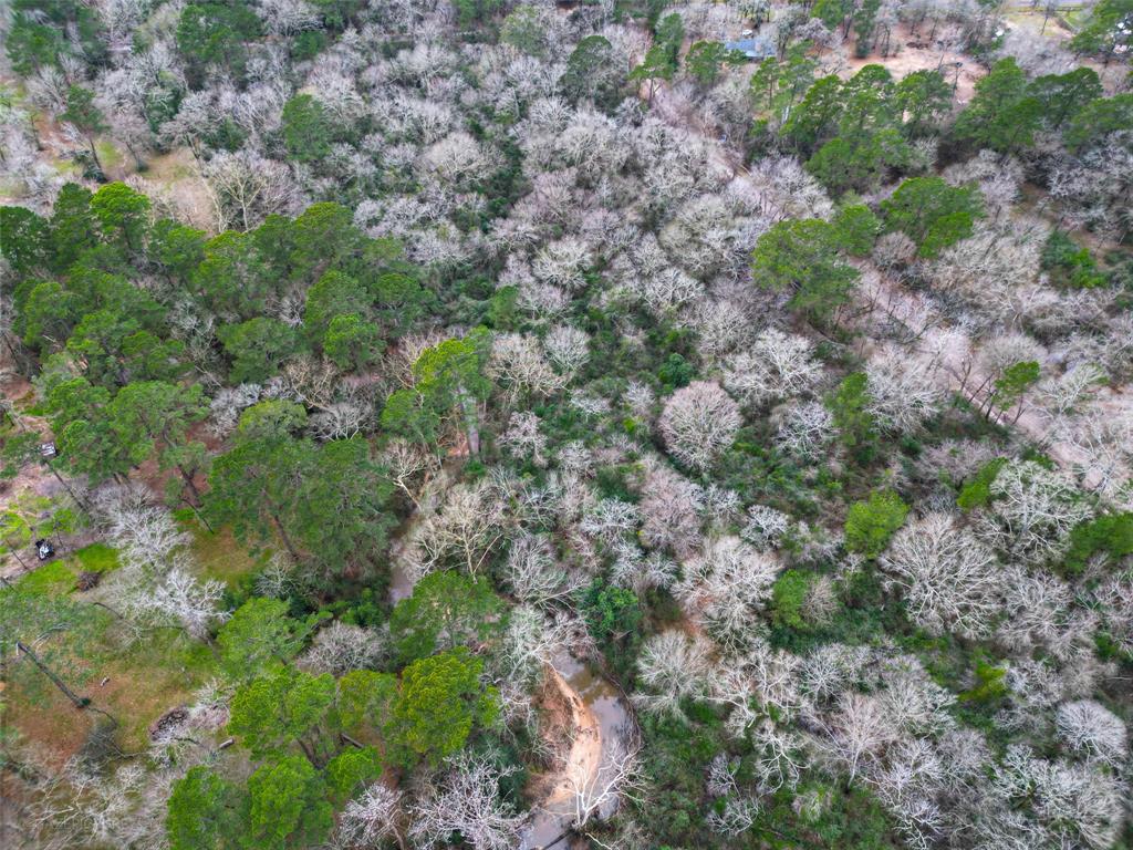 25415 N Clear Creek Road, Hockley, Texas image 6