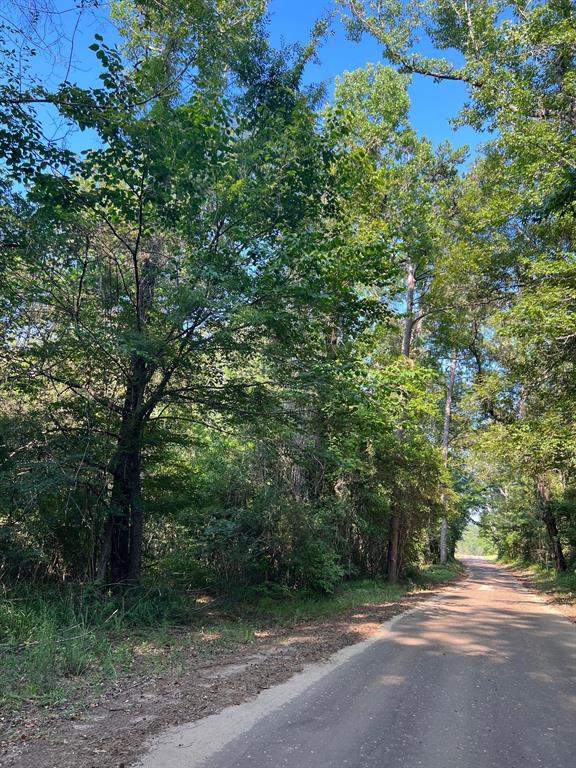 TBD County Road 087, Jasper, Texas image 1