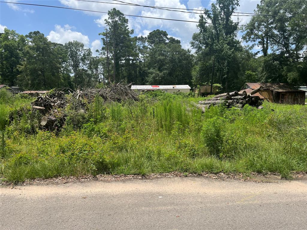 Old Coffin Rd, Conroe, Texas image 2