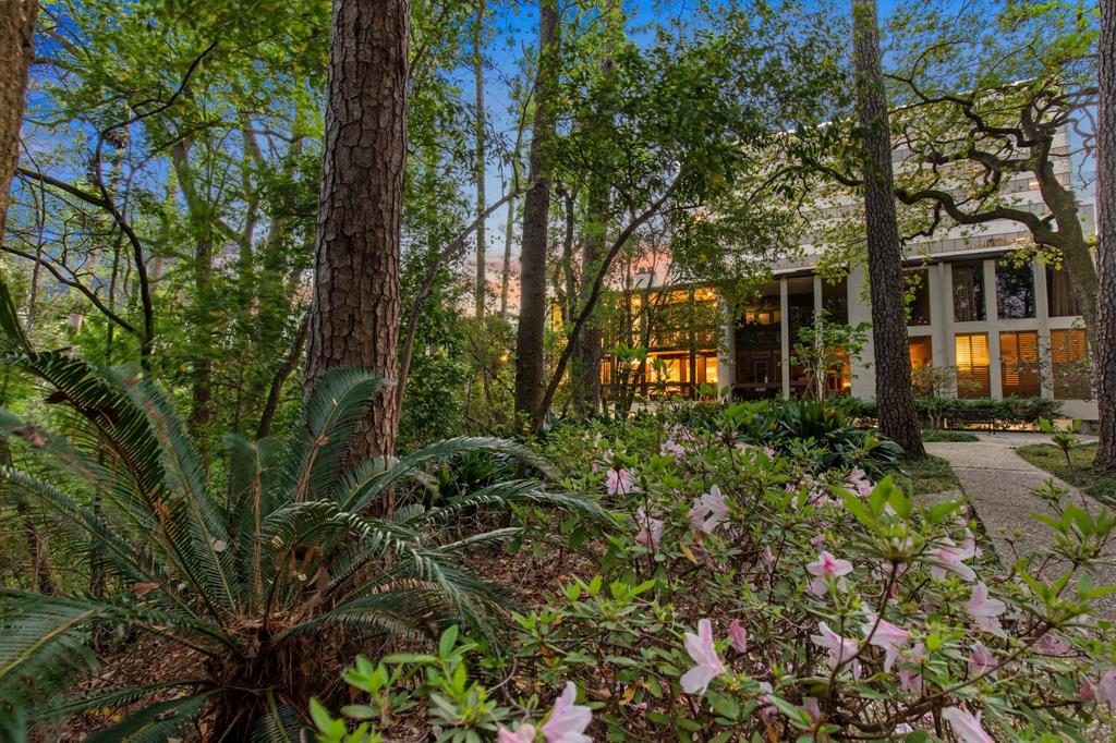 45 Briar Hollow Lane #6, Houston, Texas image 33