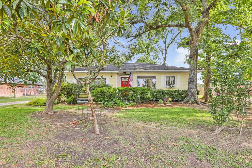 23718 E Webb Road, Porter, Texas image 1