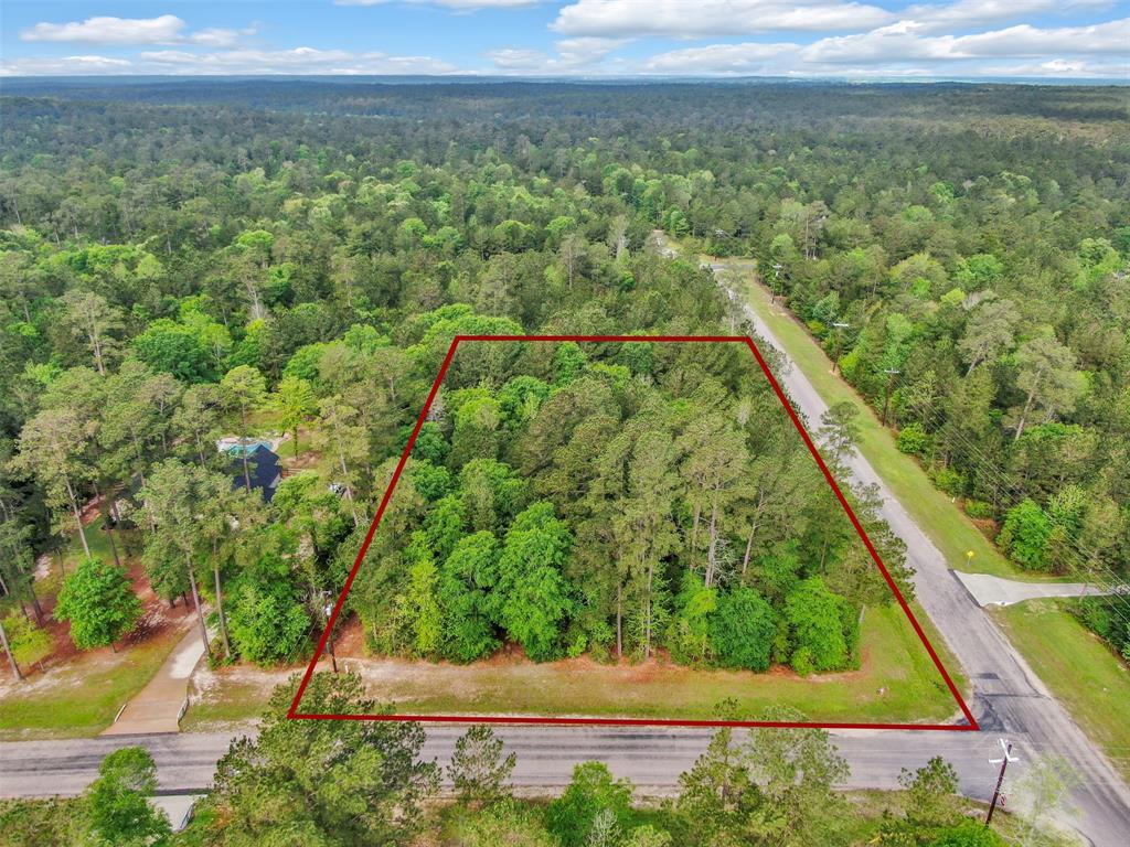 Lot 23 Grand View, Huntsville, Texas image 4