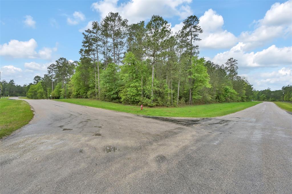 Lot 23 Grand View, Huntsville, Texas image 7