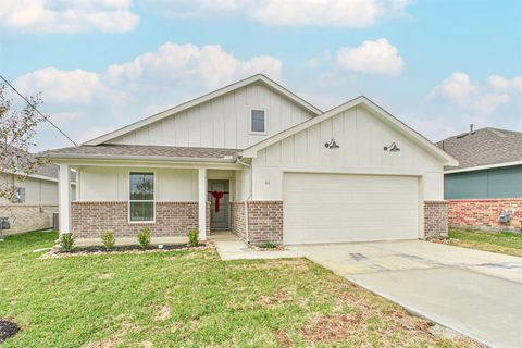 Photo of 135 County Road 51030, Cleveland, TX 77327 (MLS # 75508552)
