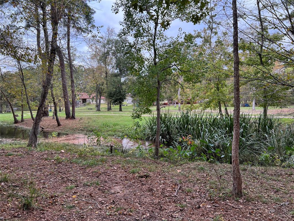 2019 E Lake Drive, Huntsville, Texas image 4