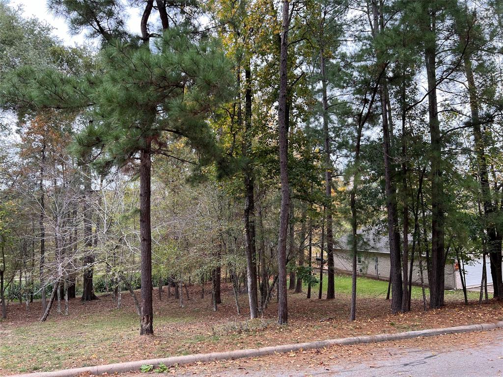 2019 E Lake Drive, Huntsville, Texas image 2