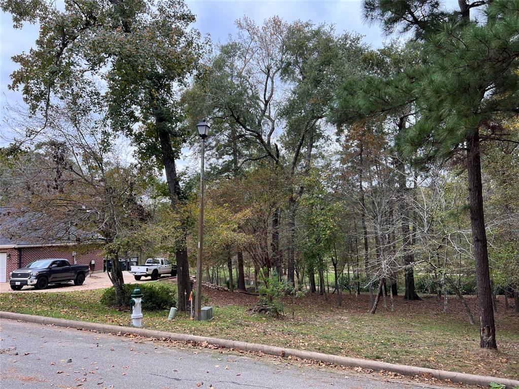 2019 E Lake Drive, Huntsville, Texas image 6