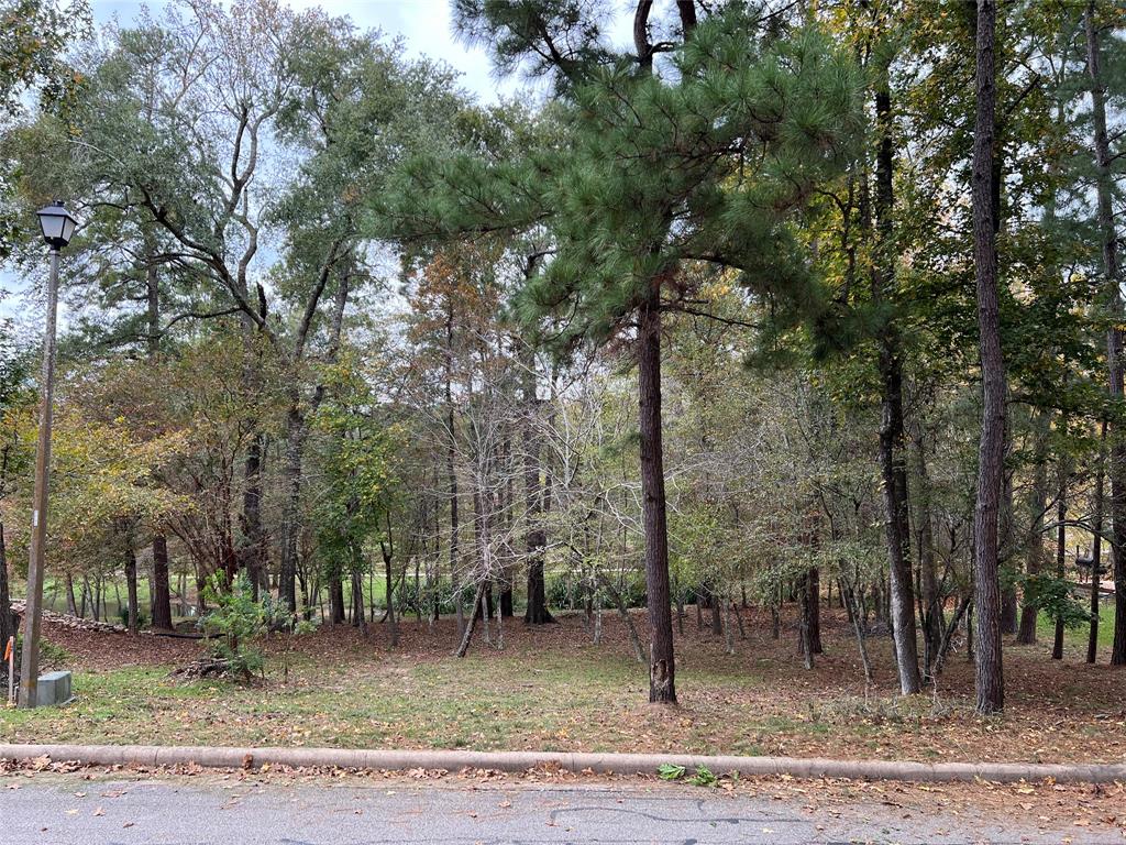 2019 E Lake Drive, Huntsville, Texas image 1