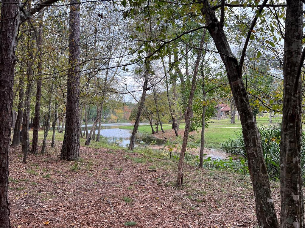 2019 E Lake Drive, Huntsville, Texas image 5