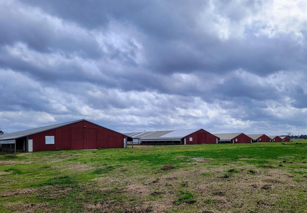 11200 Fm 699, Joaquin, Texas image 34