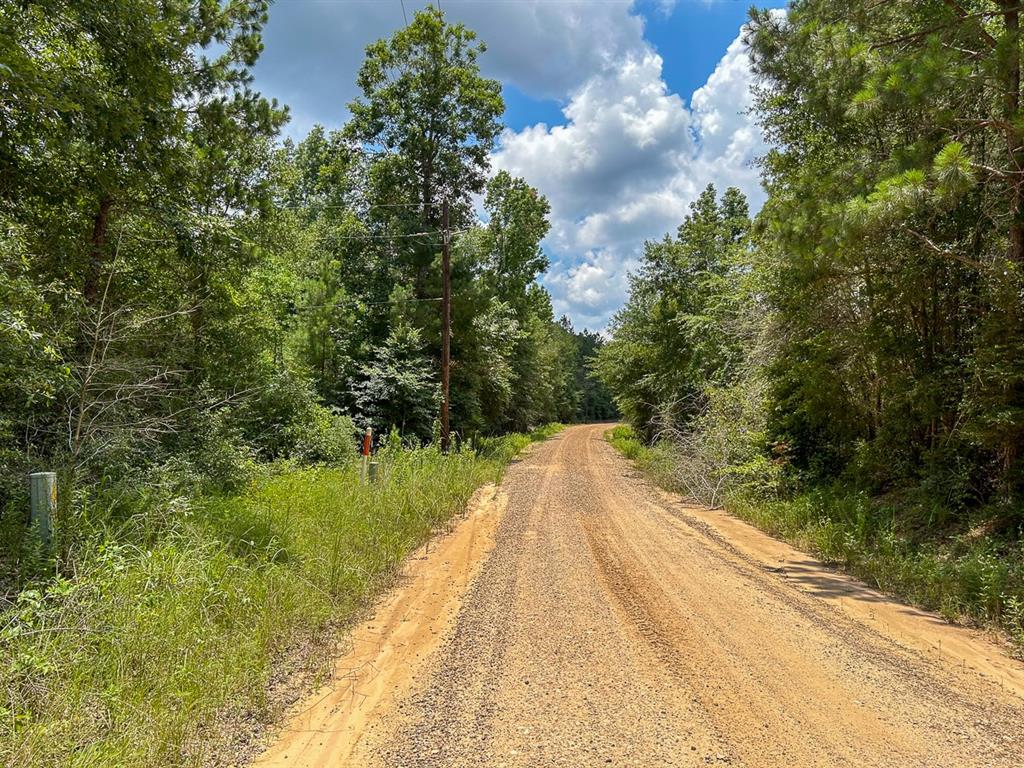 County Line Road, Livingston, Texas image 18