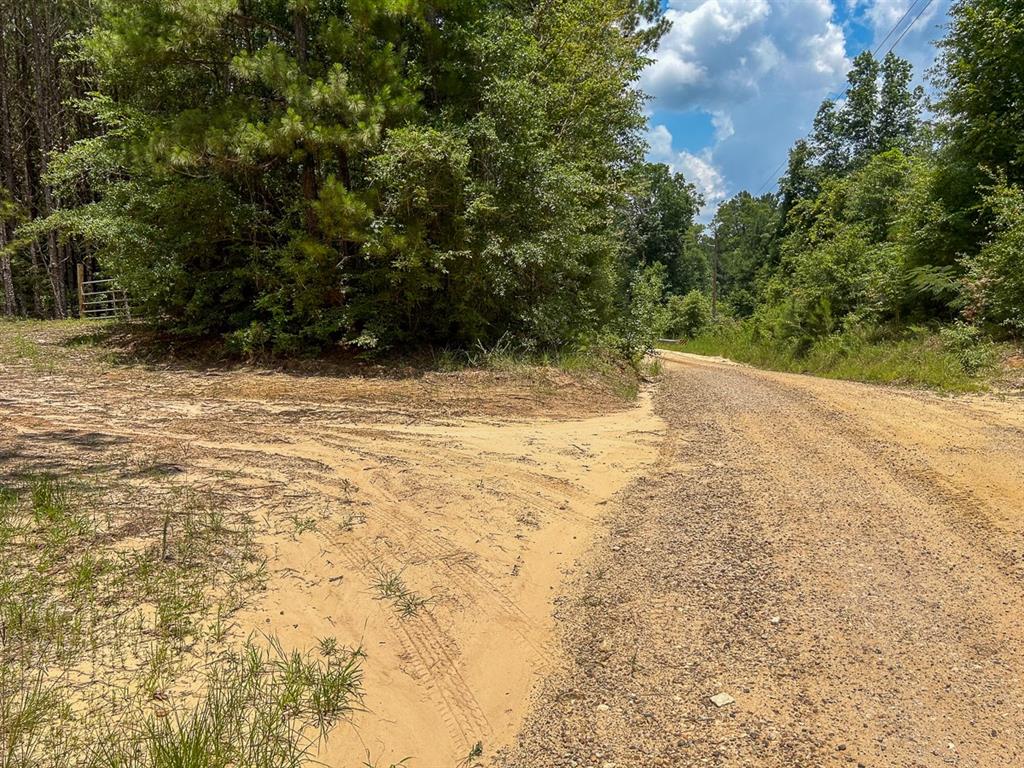 County Line Road, Livingston, Texas image 16