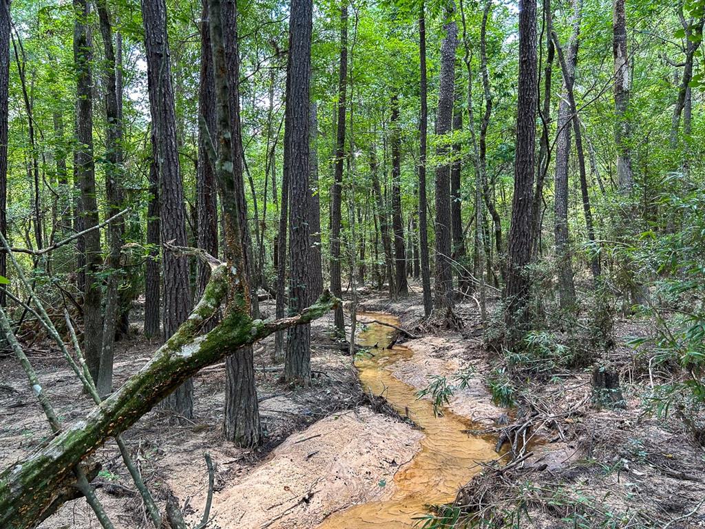 County Line Road, Livingston, Texas image 21