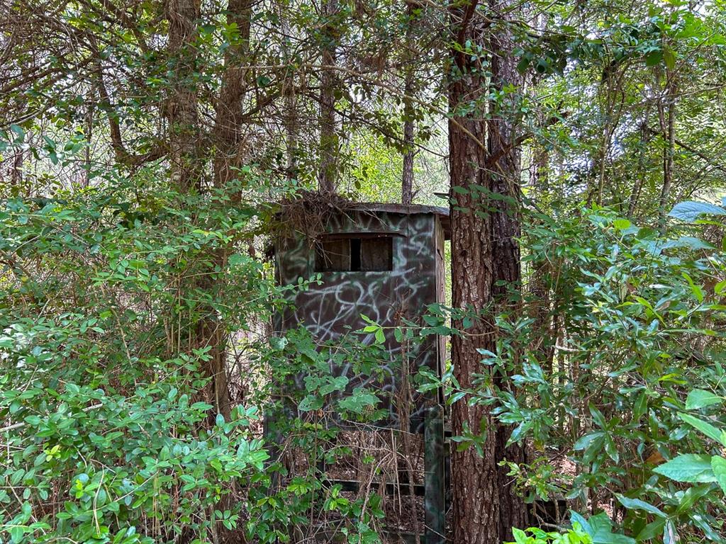 County Line Road, Livingston, Texas image 11