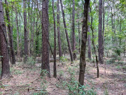 Vacant Land For Sale - County Line Road<br/> Livingston, TX 77351