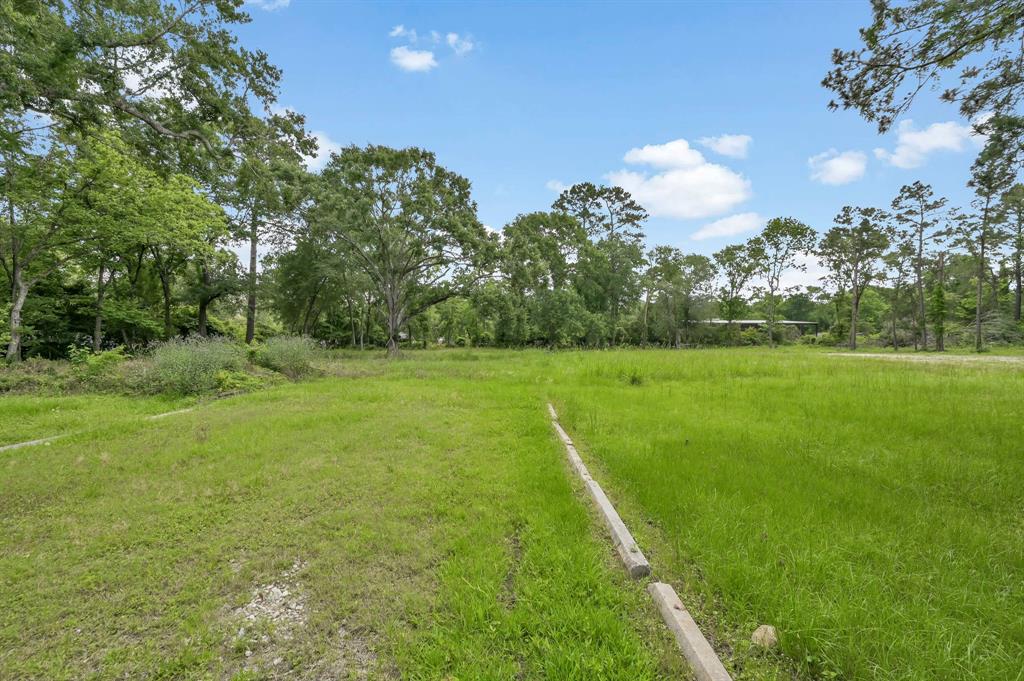 22830 Fritz Lane, Spring, Texas image 16