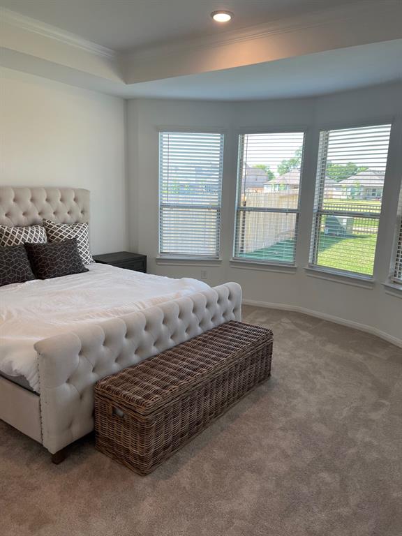 26767 Grandiflora Drive, Magnolia, Texas image 13