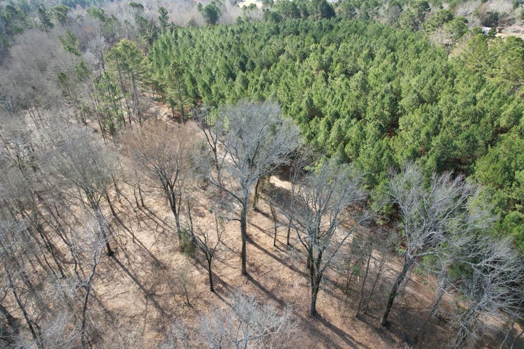 TBD-8 Hwy 271, Gladewater, Texas image 4