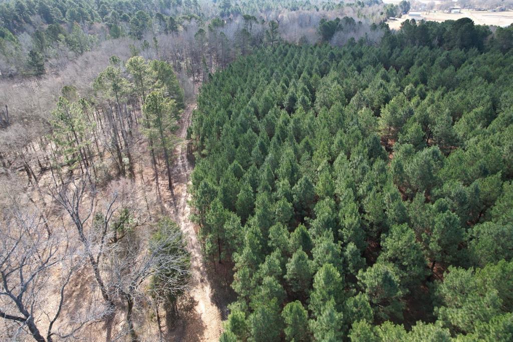 TBD-8 Hwy 271, Gladewater, Texas image 6