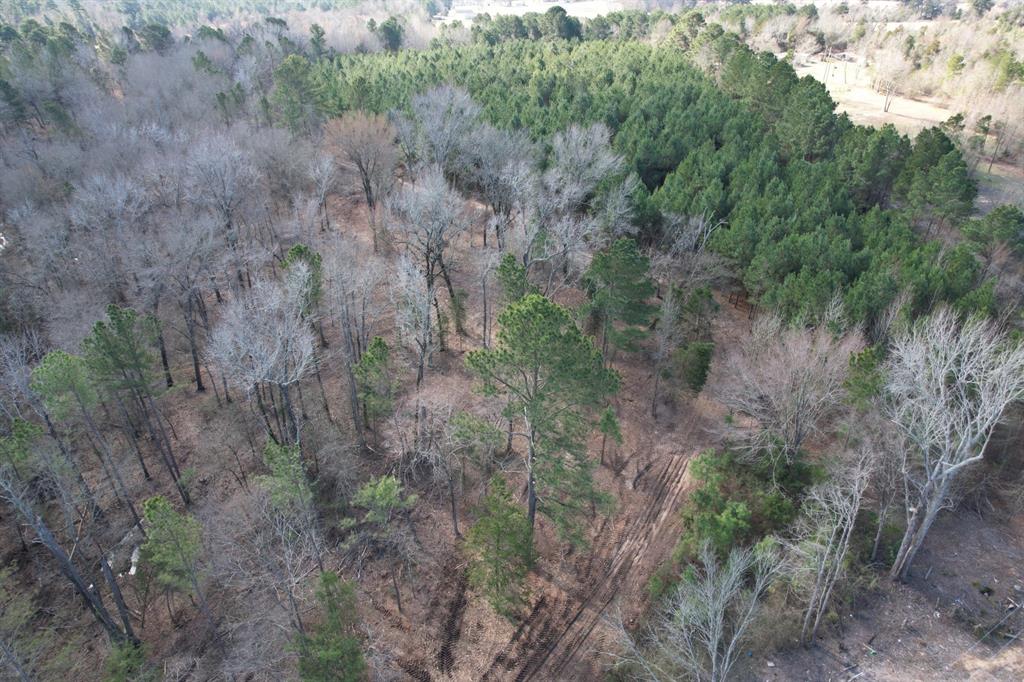 TBD-8 Hwy 271, Gladewater, Texas image 3