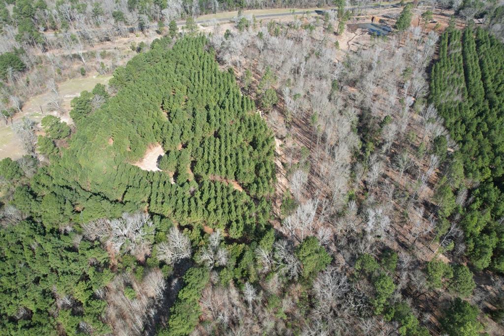 TBD-8 Hwy 271, Gladewater, Texas image 9