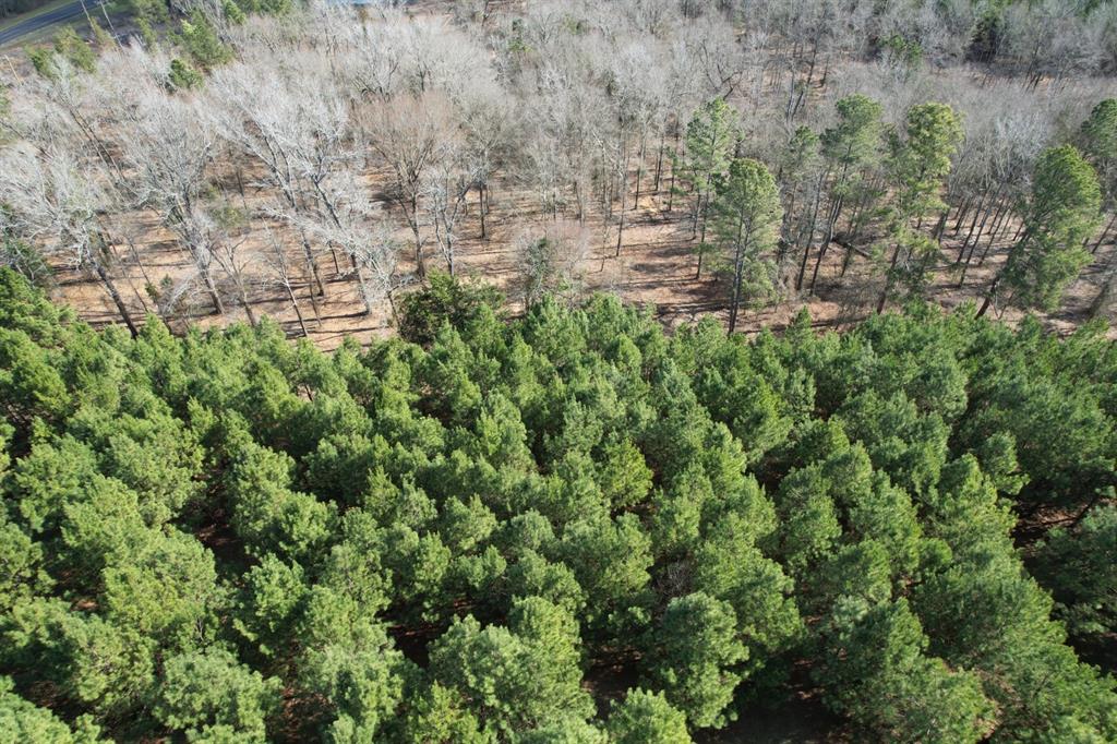 TBD-8 Hwy 271, Gladewater, Texas image 8