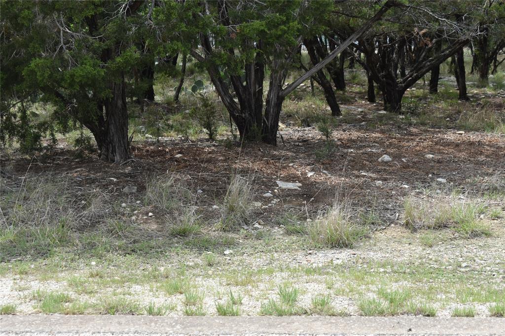 Lot 200 Harbor Town Drive, Graford, Texas image 1